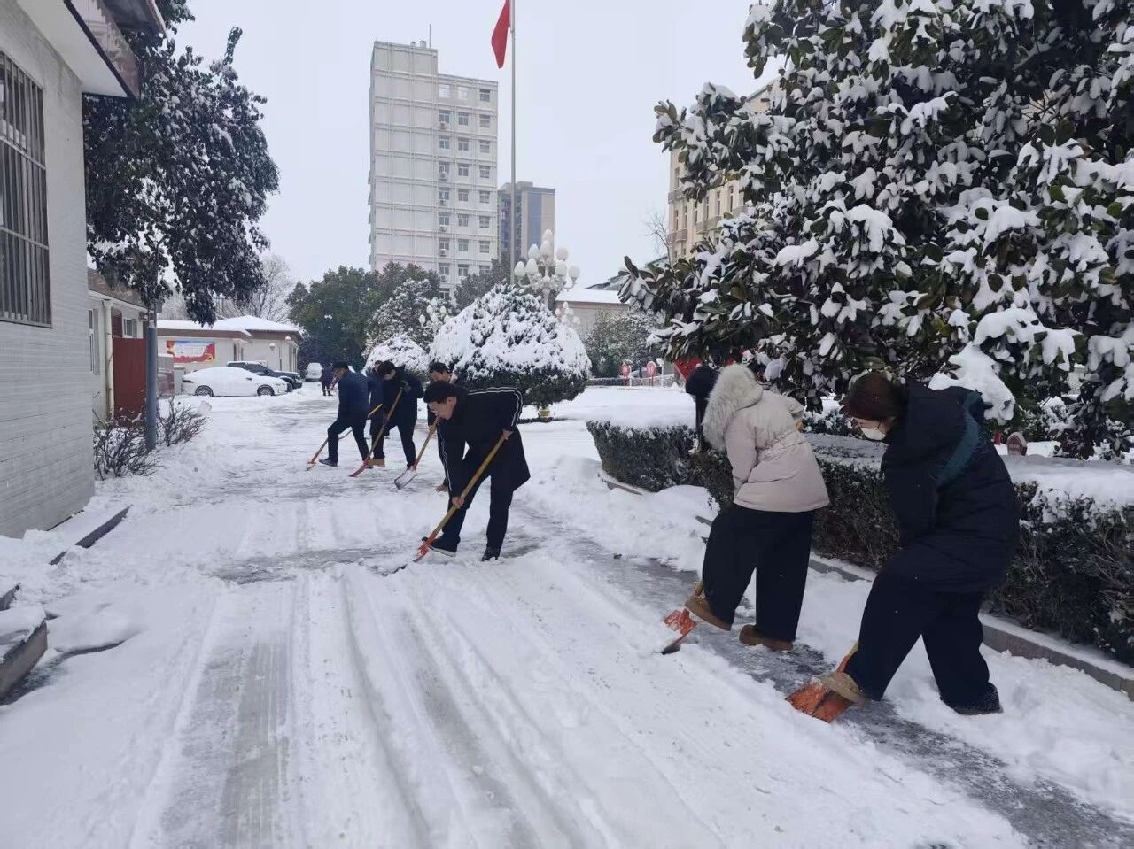 【孟津检察】破冰除雪暖寒冬 检察担当映初心
